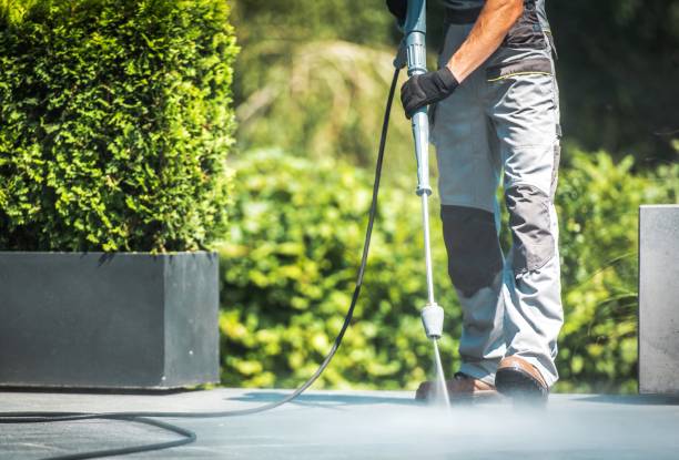Best Paint Preparation  in Romeovle, IL