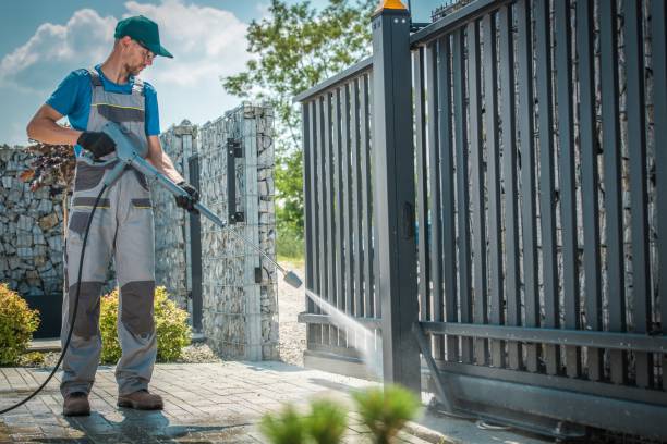 Best Pre-Holiday Cleaning  in Romeovle, IL