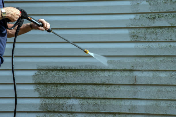 Best Building Exterior Washing  in Romeovle, IL